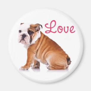 Aimant Mignon Amoureux de Bouledogue Anglais Drôle de Chi