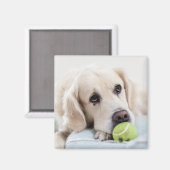 Aimant mignon chien 4 (Recto/Verso)
