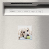 Aimant mignon chien 4 (In Situ (Lave-vaisselle))