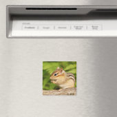Aimant mignon chipmunk (In Situ (Lave-vaisselle))