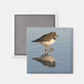 Aimant mignon en Sandpiper (Recto/Verso)
