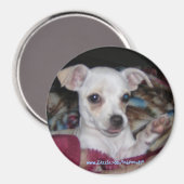 Aimant Mignonne Aimant-Chien. (Recto/Verso)