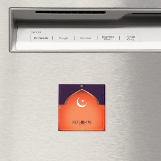 Aimant Milad-un-Nabi (Moubarak) (In Situ (Lave-vaisselle))