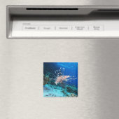 Aimant Miles de poissons-lions ou de ptérois, poissons de (In Situ (Lave-vaisselle))