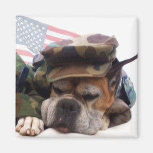 Aimant militaire de chien de boxeur