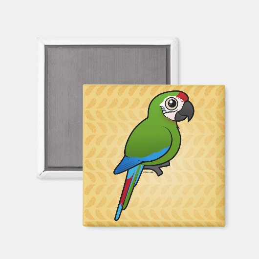 Aimant Militaire Macaw (Recto/Verso)