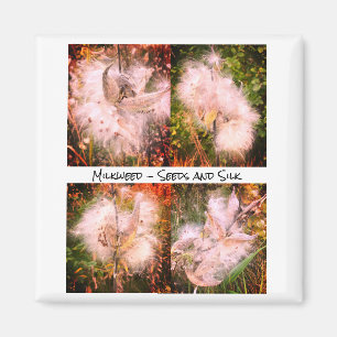 Aimant Milkweed Sangria