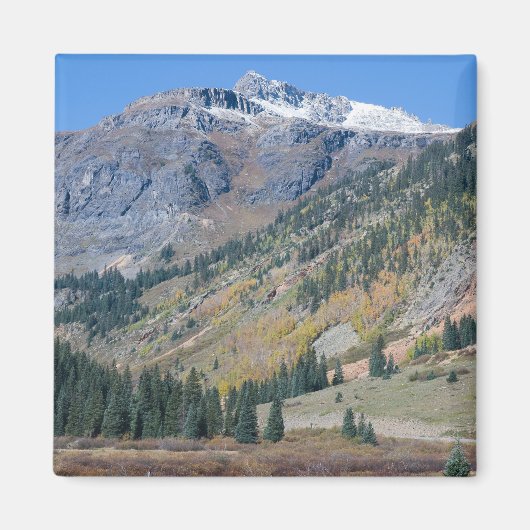 Aimant Millions de dollars d'aimant routier (Devant)