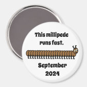 Aimant Millipede, brun (Recto/Verso)