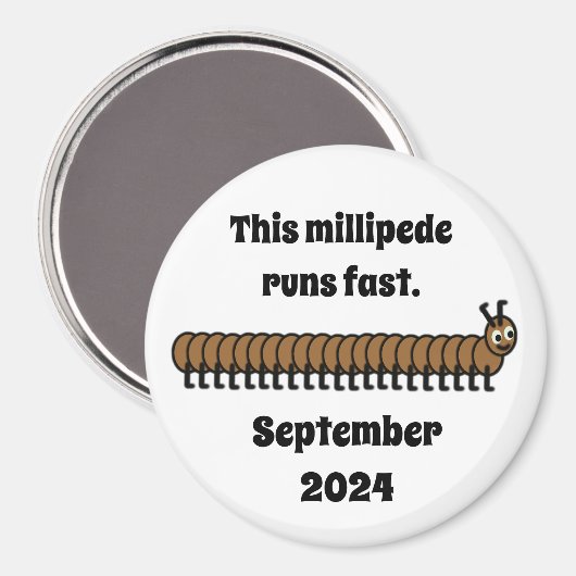 Aimant Millipede, brun (Recto/Verso)