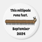 Aimant Millipede, brun (Devant)