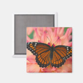 Aimant Mimique Du Papillon Monarque (Recto/Verso)