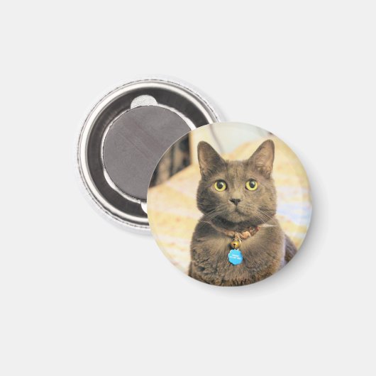 Aimant Mims (Recto/Verso)