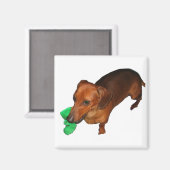 Aimant Minature Dachshund (Recto/Verso)