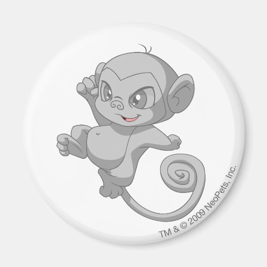 Aimant Minci Silver (Devant)