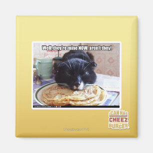 Aimant Mine maintenant