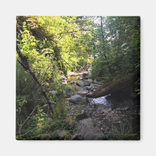 Aimant Miner Creek, Samuel H. Directeur, OU