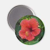 Aimant Mini Art Rouge Hibiscus (Recto/Verso)