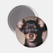 Aimant mini broche. (Recto/Verso)