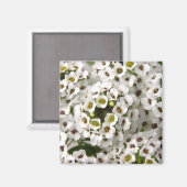 Aimant Mini Fleurs blanches (Recto/Verso)