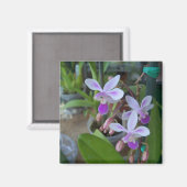 Aimant mini orchidées Phal (Recto/Verso)