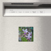 Aimant mini orchidées Phal (In Situ (Lave-vaisselle))