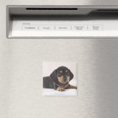 Aimant Miniature Dachshund (In Situ (Lave-vaisselle))