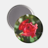 Aimant Miniature rouge rose (Recto/Verso)