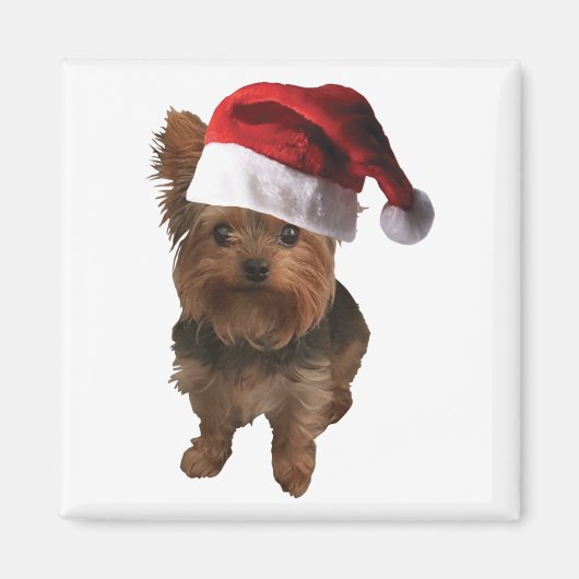 Aimant miniature_Santa Hat Yorkie (Devant)