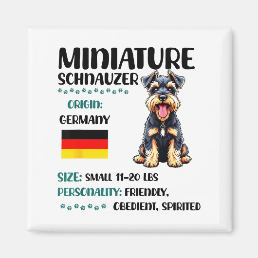 Aimant Miniature Schnauzer Origin Funny Mini Schnauzer Lo (Devant)