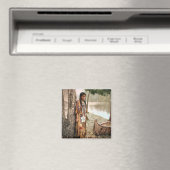 Aimant Minnehaha 1897 (In Situ (Lave-vaisselle))