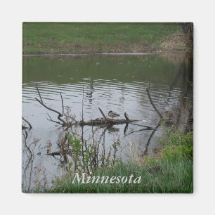Aimant Minnesota