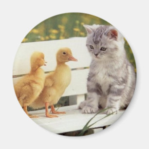 Aimant Minous et poussins