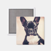 Aimant Minuscule Chiot noir et blanc (Recto/Verso)