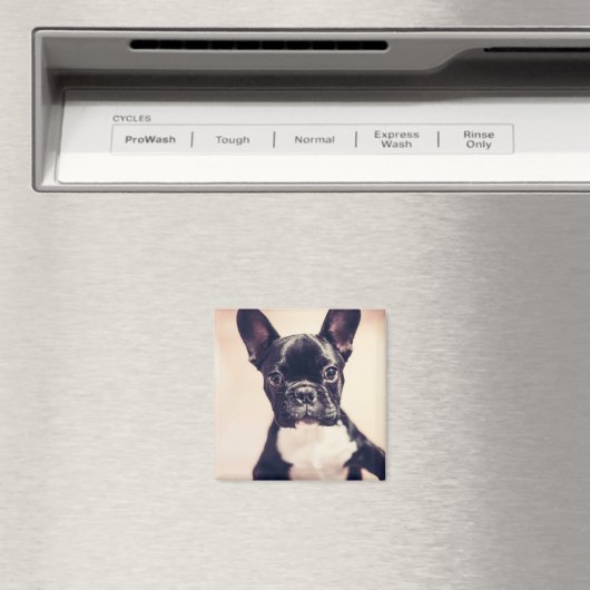 Aimant Minuscule Chiot noir et blanc (In Situ (Lave-vaisselle))