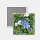 Aimant minuscules fleurs bleues (Recto/Verso)