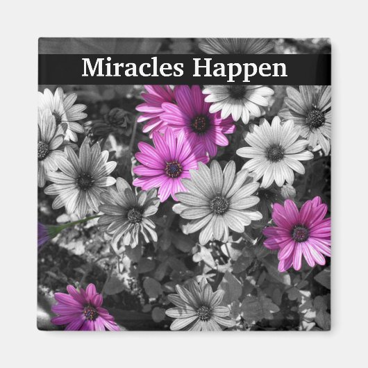 Aimant Miracles Happen Daisies Inspiration (Devant)