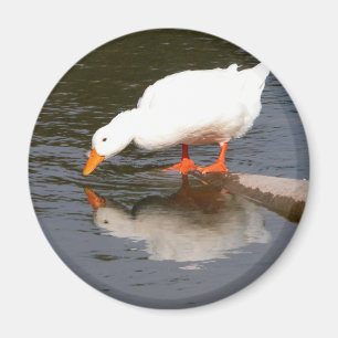 Aimant Miroir de miroir