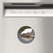 Aimant Mirror (In Situ (Lave-vaisselle))