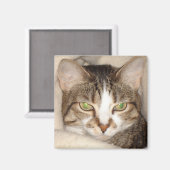 Aimant Miss.Kitty.2010 (Recto/Verso)