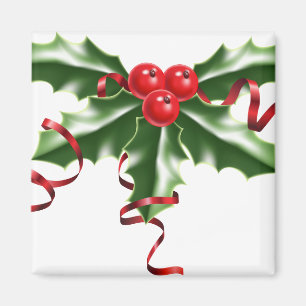 Aimant Mistletoe