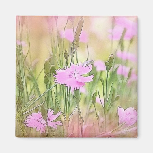 Aimant Misty Morning Dianthus (Devant)