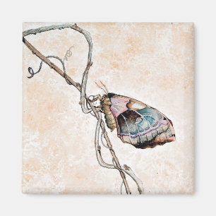 Aimant Mite de Promethea