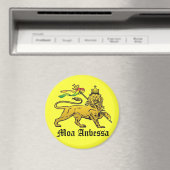 Aimant Moa Anbessa (In Situ (Lave-vaisselle))