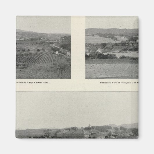 Aimant Model Vineyards, Californie (Devant)