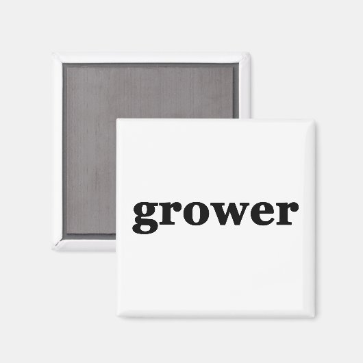 AIMANT MODÈLE (Recto/Verso)