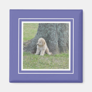 Aimant Modèle de photo mignon personnalisé bleu élégant
