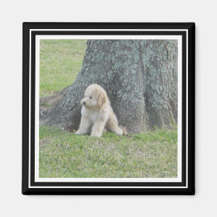 Aimant Modèle de photo personnalisé Noir et Blanc vrai