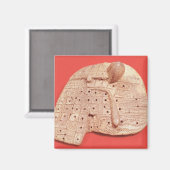 Aimant Modèle du foie d'un mouton (Recto/Verso)