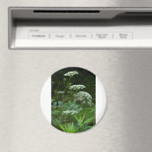 Aimant modèle magnétique rond (In Situ (Lave-vaisselle))